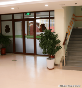 2025年已累计完成健康办理档案108份；选择乐老汇